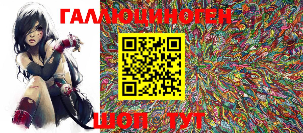 Псилоцибиновые грибы Cubensis  Вход с VPN  Гай 