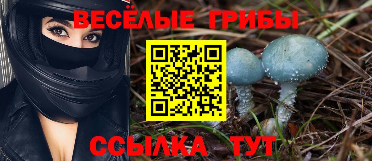 Псилоцибиновые грибы GOLDEN TEACHER Гай