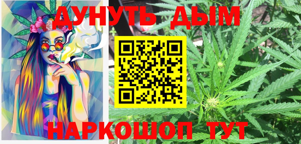 Гай  МАРИХУАНА сатива  Вход с VPN  Канабис Bruce Banner 