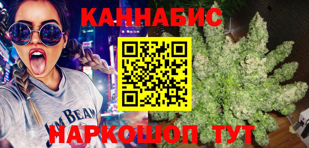 МАРИХУАНА SATIVA & INDICA Гай